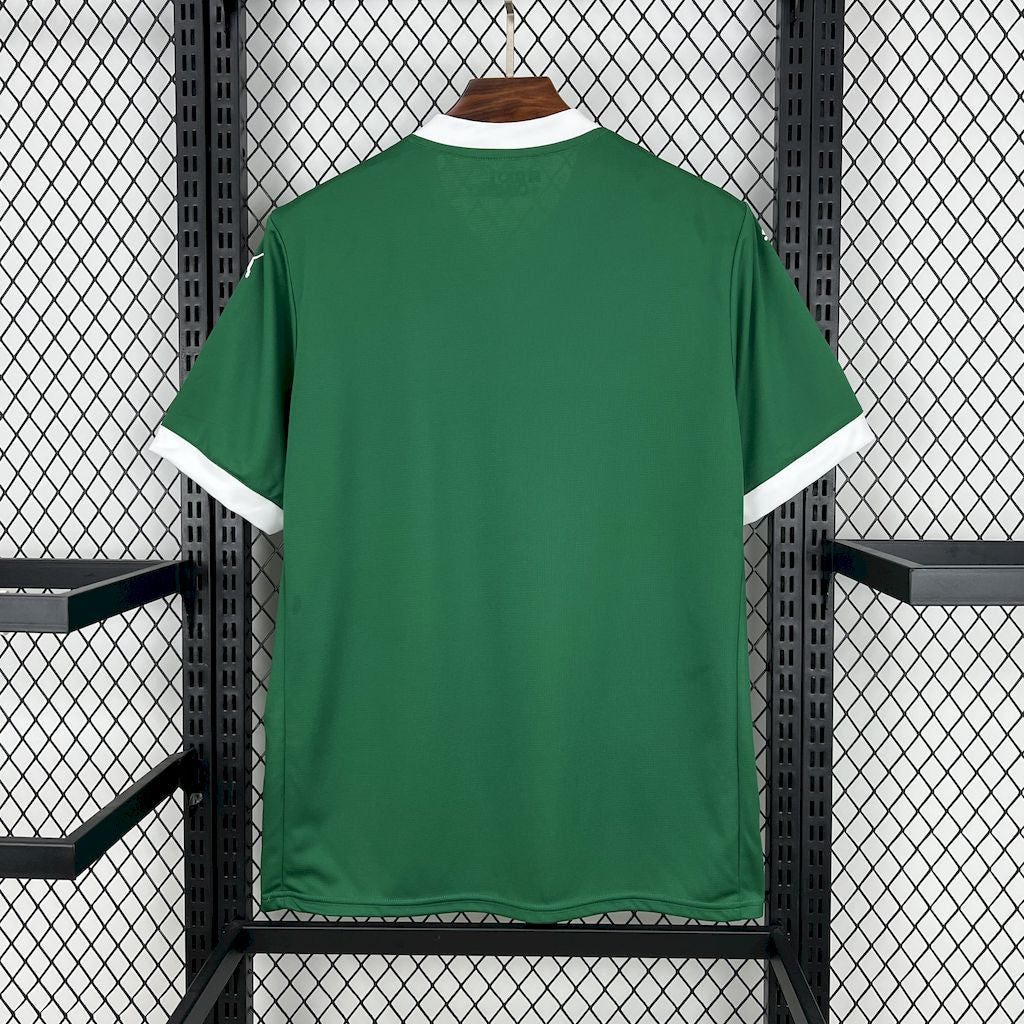Palmeiras Principal 25-26